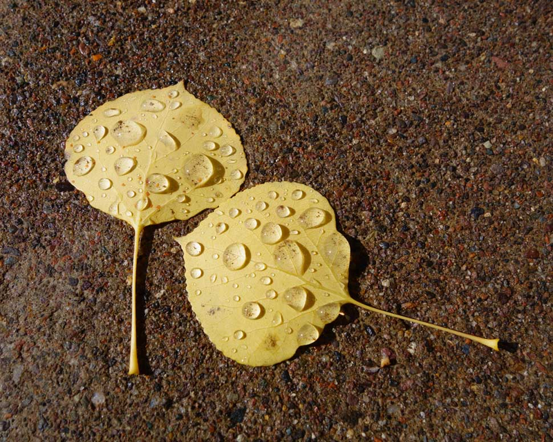Illustration for article titled 48 Photos Of Autumn Around The World